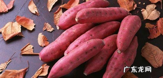 吃薯类有利于减肥吗,该怎么吃呢?