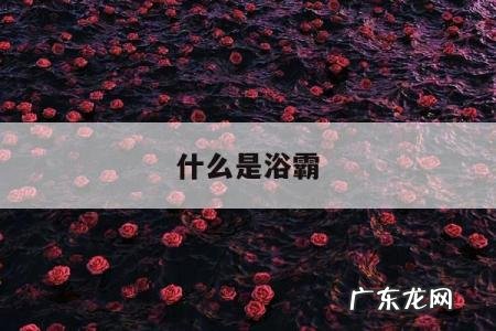 什么是浴霸,什么是浴霸电机的运行绕组