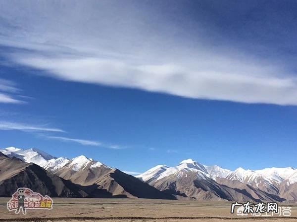 从西藏带羚羊回内地可以吗