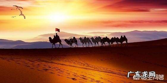 我身边的几个同事都在说结婚好累,为什么?