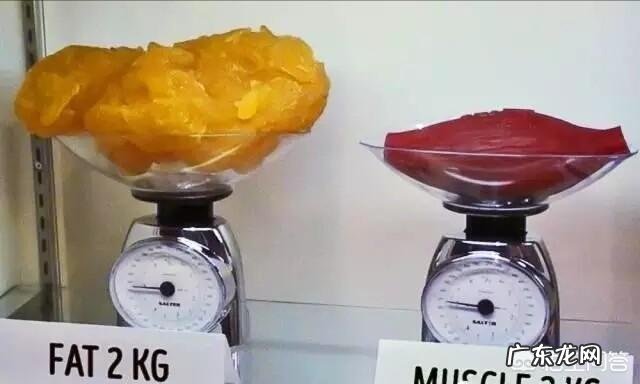 减肥期间体脂肪涨了是什么原因?