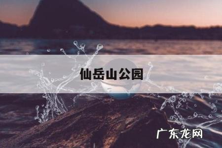 仙岳山公园,仙岳山公园作文