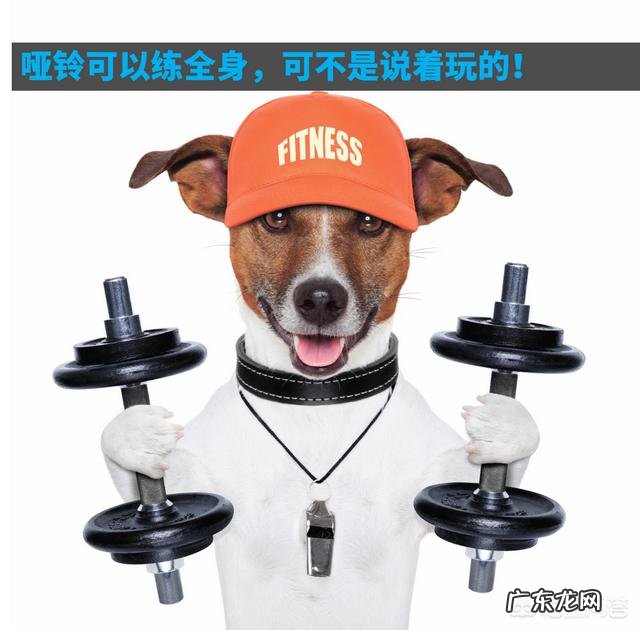 家庭中使用的,减脂效率最高的器械是哪个