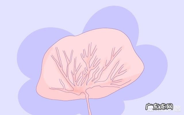 生孩子当天产妇掉多少斤才算正常如何在三个月内暴瘦38斤