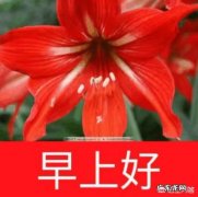 一天不吃饭都感觉不到饿，是怎么回事