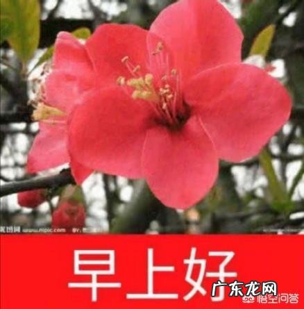 一天不吃饭都感觉不到饿,是怎么回事