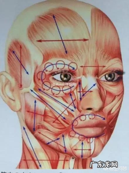 想要美容养颜，有什么好的按摩手法吗？