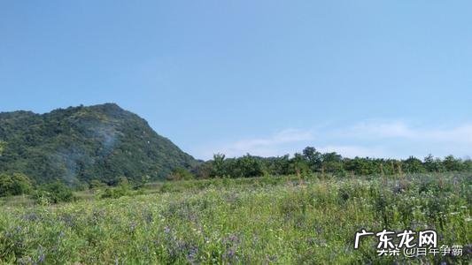 美国三大股指继续下跌，美股的熊市要来了？