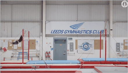 你知道哪些运动领域的世界记录