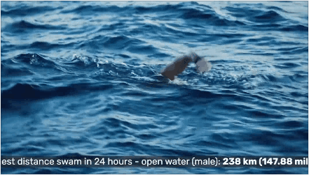 你知道哪些运动领域的世界记录