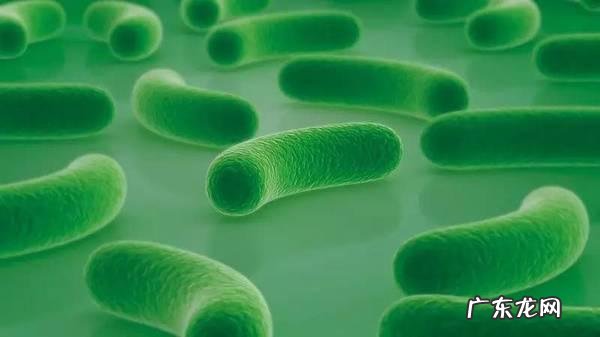 冬天泡脚水里加些什么比较好