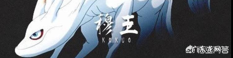 《火影忍者》中有哪些冷知识