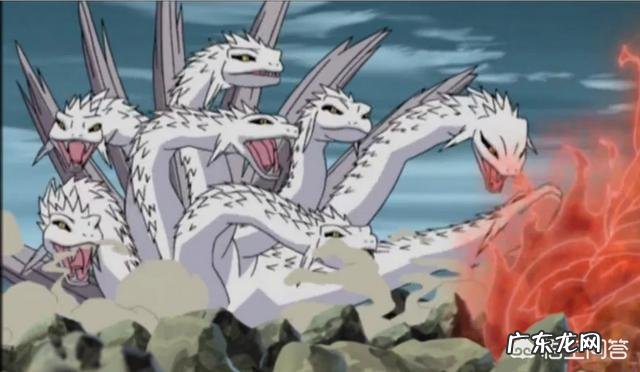 《火影忍者》中有哪些冷知识