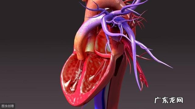 请问血压,吃药就降下去不吃药就上来怎么办