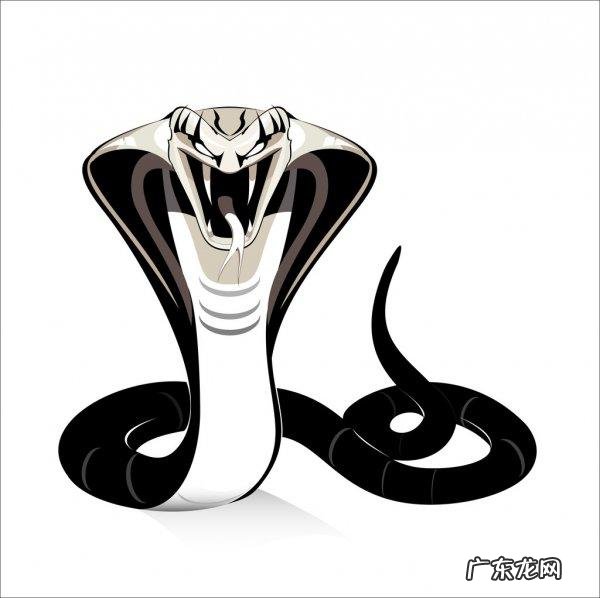 农村阿婆说最大的过山峰蛇可以长到十米长,真的假的哦