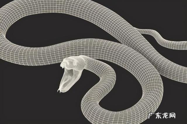 农村阿婆说最大的过山峰蛇可以长到十米长,真的假的哦