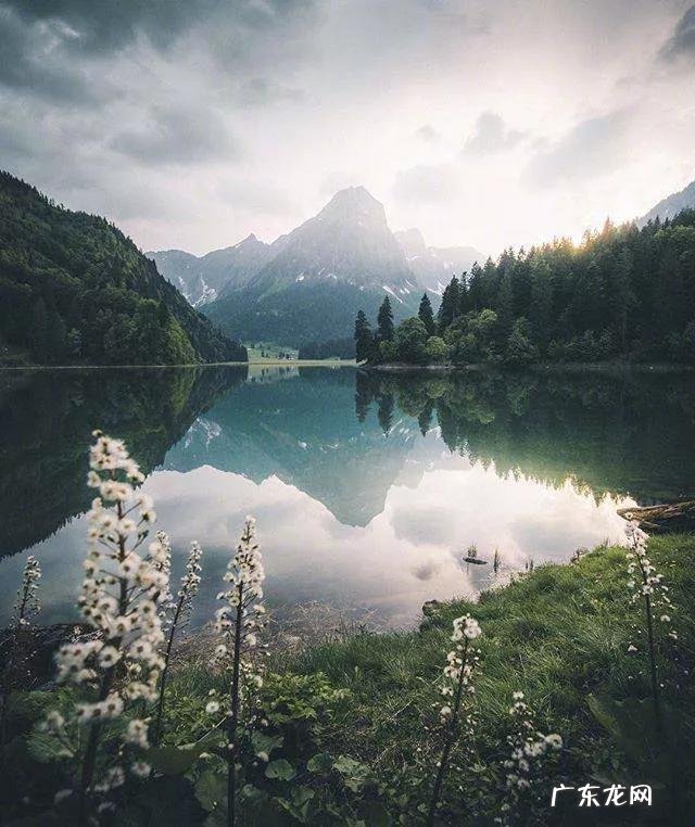 肾病综合征的临床特点“三高一低”,如何减轻症状做到药食同源