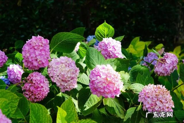 哈尔滨市送餐用接种疫苗吗?