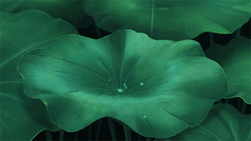 两个不一样的家庭观念对婚姻有啥影响?