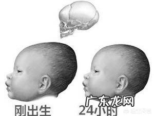 13周的胎儿是什么样的?