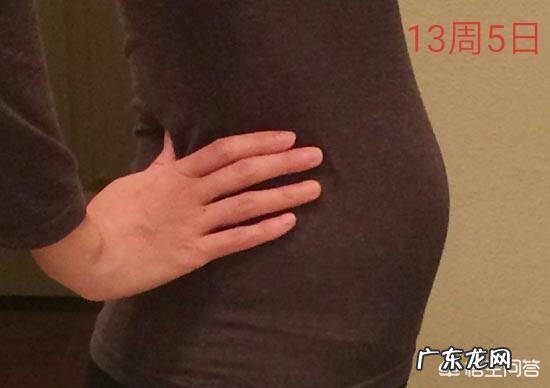 13周的胎儿是什么样的?