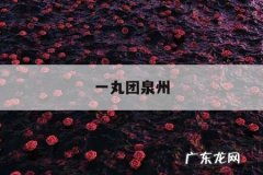 一丸团泉州，泉州丸子汤