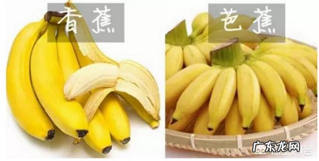 皇帝蕉、米蕉、大蕉、mini蕉和香蕉,哪种更好吃? 大蕉和皇帝蕉哪个好吃
