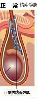 医生或医学生有哪些奇葩的习惯?