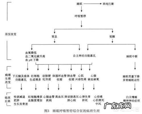 打鼾都会伴有睡眠呼吸暂停吗?
