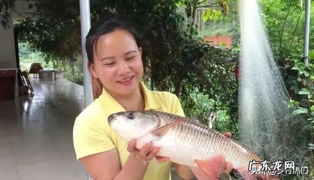 三农九妹为什么会成为网红?