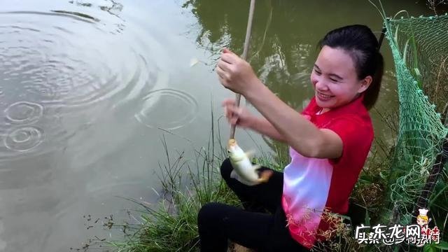 三农九妹为什么会成为网红?