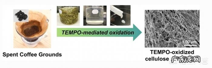 咖啡渣如何被用来制成可生物降解塑料?