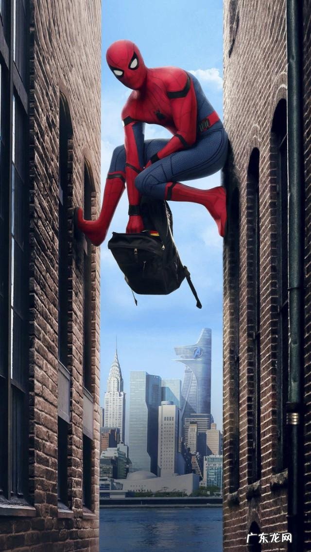 医师的日常工作是怎样的?