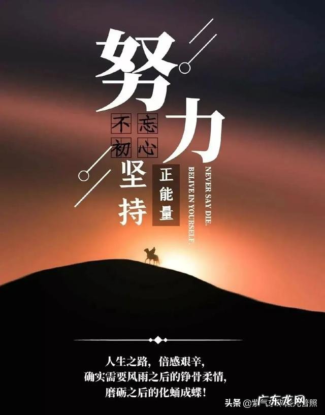 你会因为自己的学历低,而不敢在头条发文写文章吗?