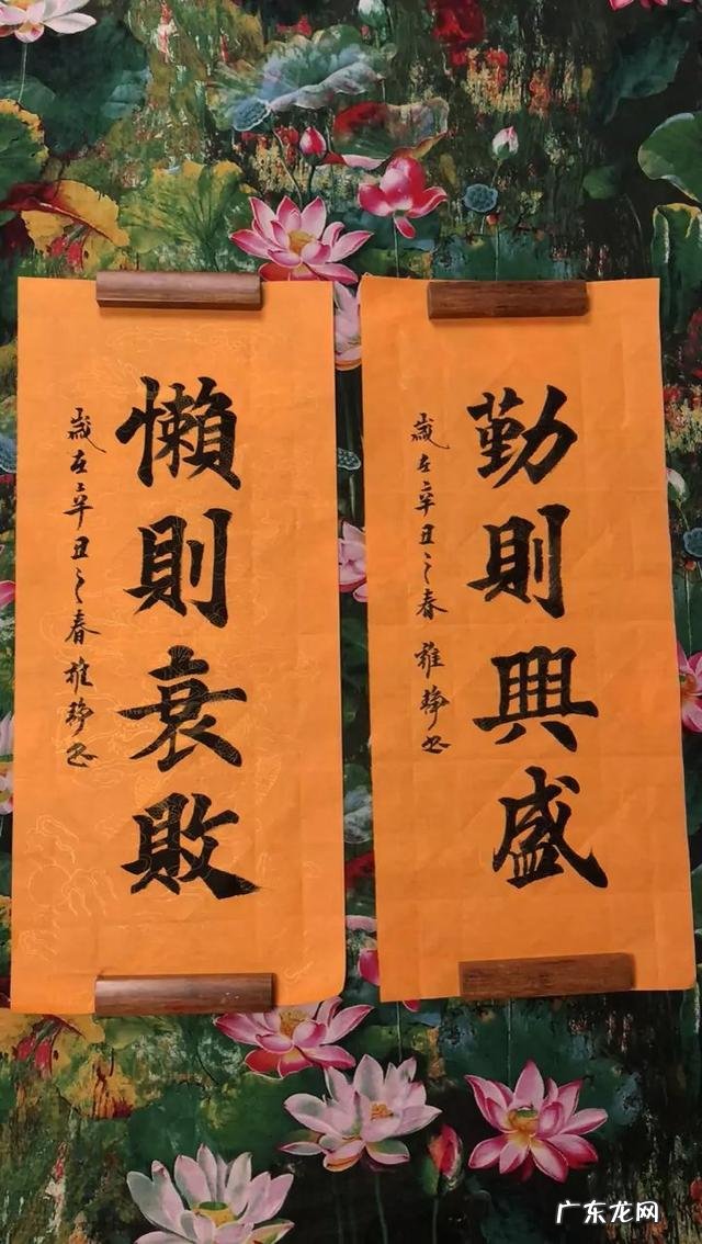 你会因为自己的学历低,而不敢在头条发文写文章吗?