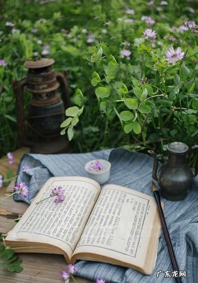 你会因为自己的学历低,而不敢在头条发文写文章吗?