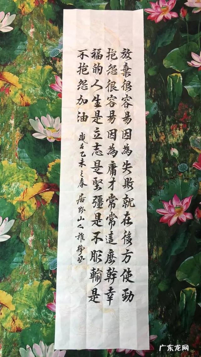 你会因为自己的学历低,而不敢在头条发文写文章吗?