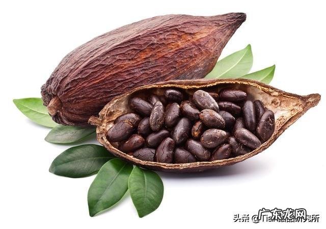 可可粉有哪些品牌,可以推荐一下吗?