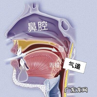 花椒泡水真的能zhi打呼噜吗