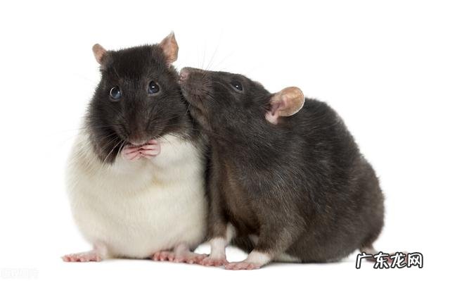 心理咨询和疗愈 心理咨询为何能疗愈人心