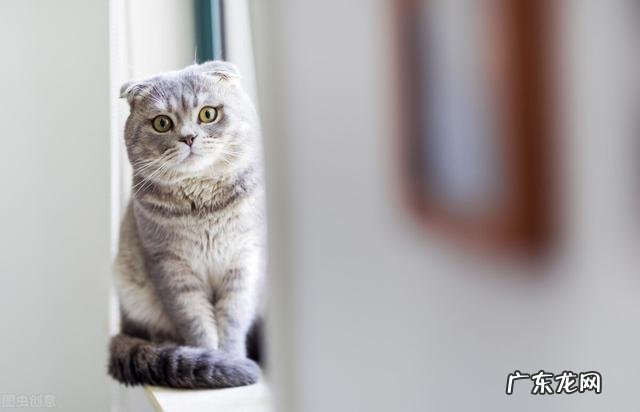 心理咨询和疗愈 心理咨询为何能疗愈人心