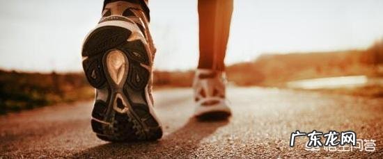 过午不食,真的是一种减肥或养生方法吗?