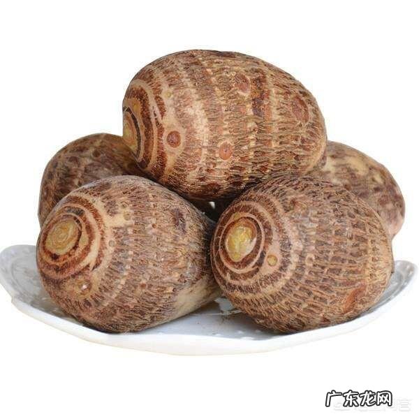 老鸭一天吃多少料可以维持体重？