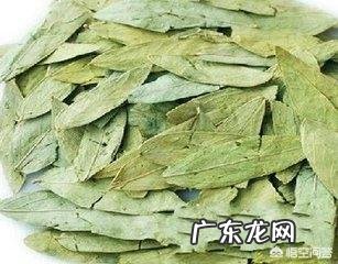番泻叶的有效成分和果导一样吗?