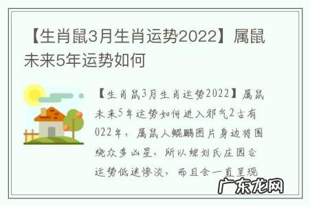 【生肖鼠3月生肖运势2022】属鼠未来5年运势如何