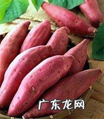 红薯防癌是真的吗?红薯有哪些好吃的做法?