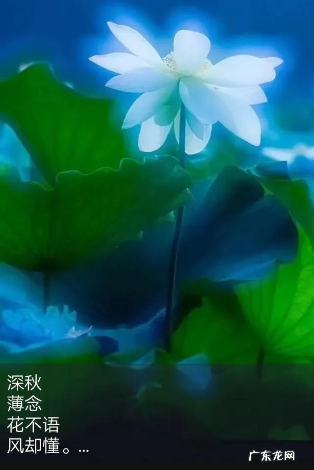 如何在半个月减脂15斤而且不容易反弹