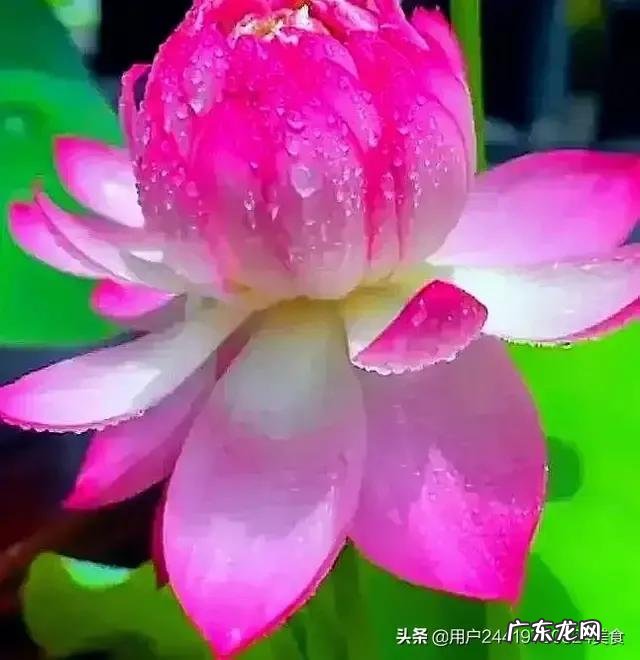 如何在半个月减脂15斤而且不容易反弹