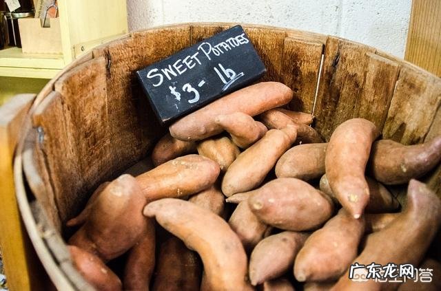 什么食物可以补充膳食纤维的?