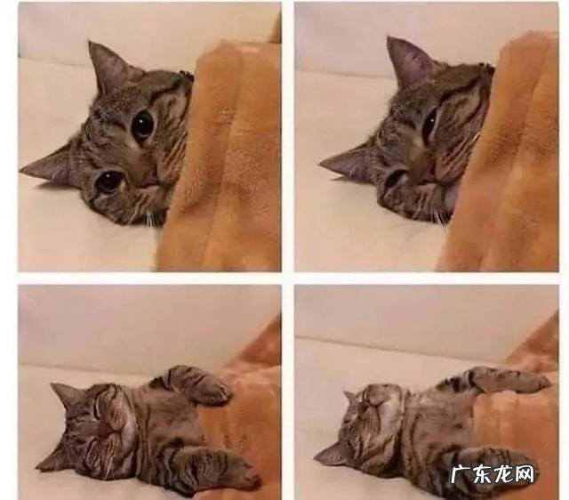 心理咨询排解烦恼 如果觉得压抑可以去心理咨询